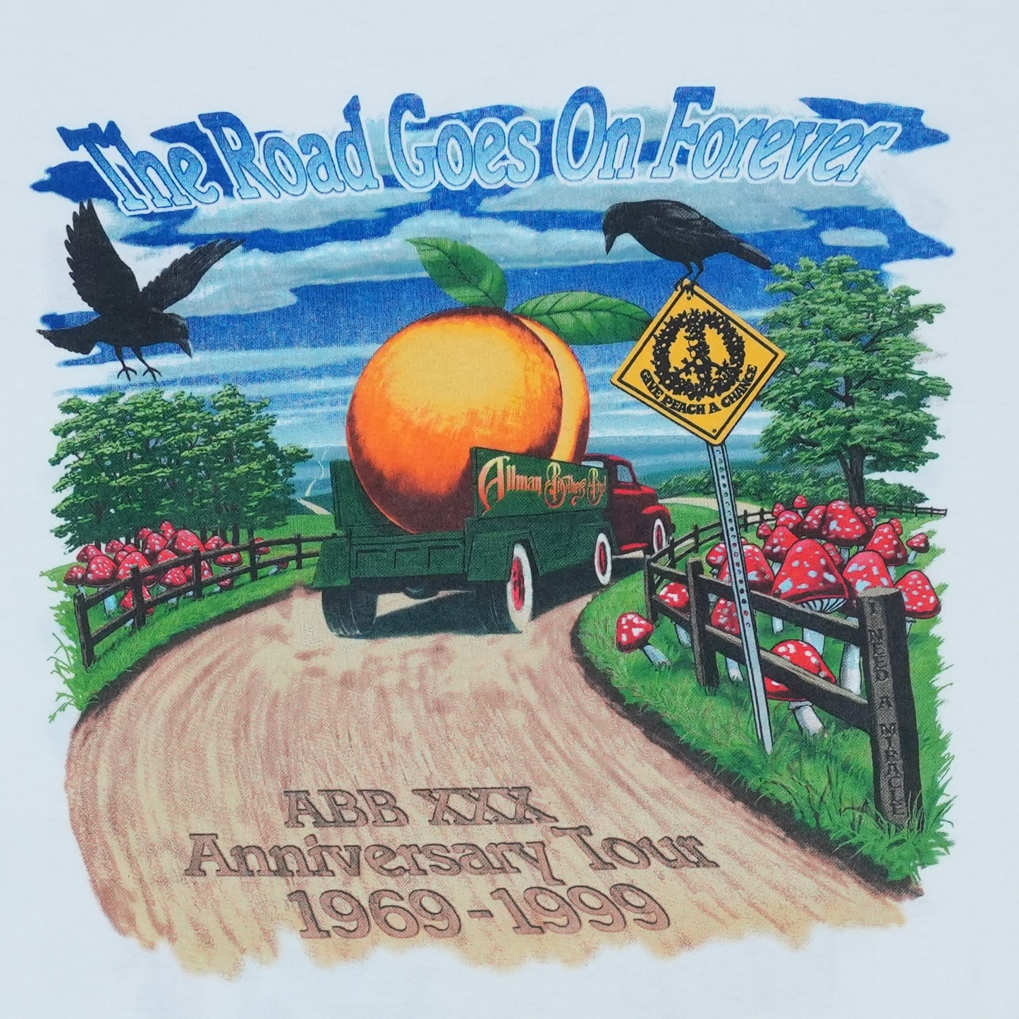 1999 Allman Brothers Tour Shirt