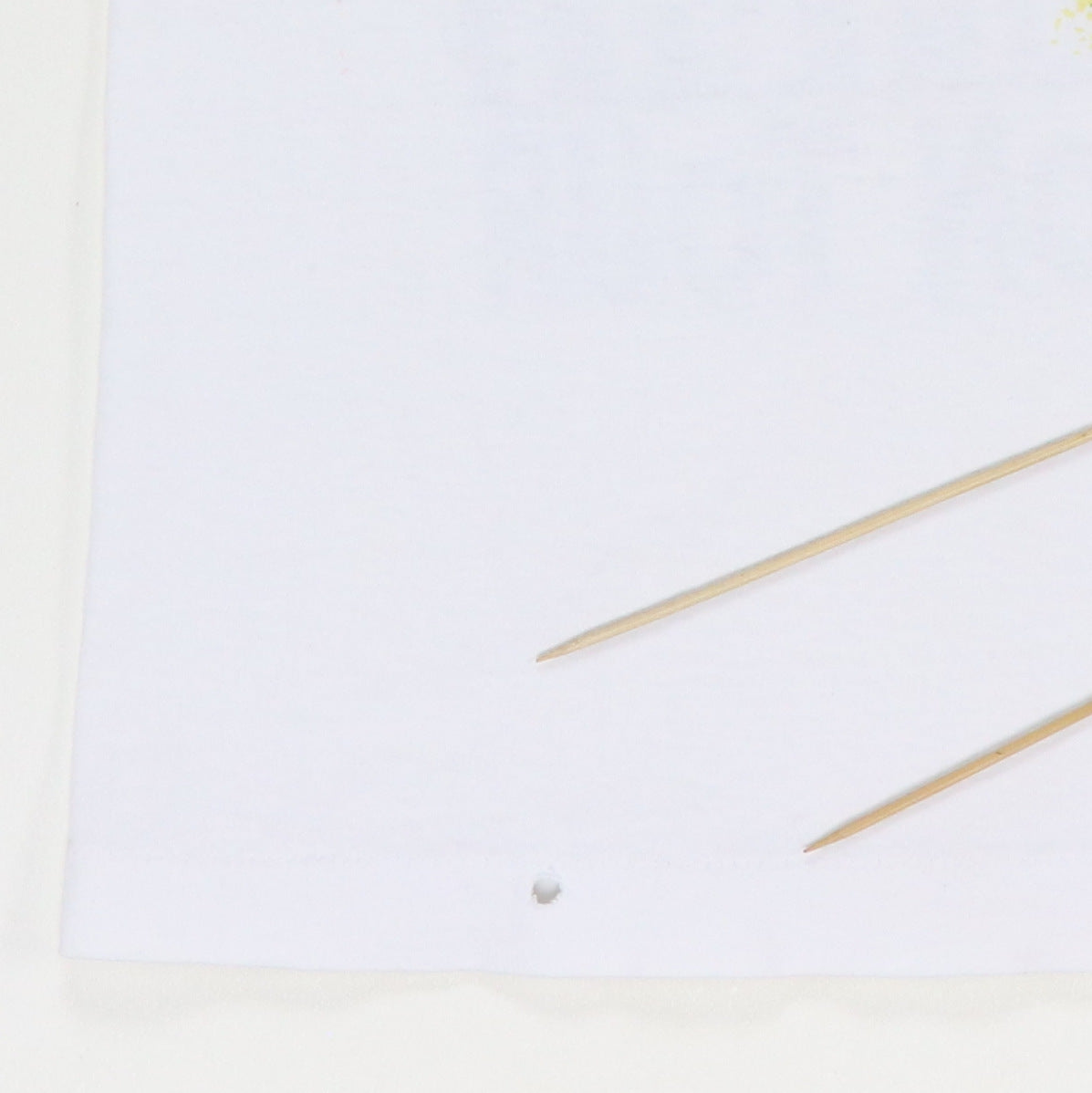 1994 Jimmy Buffett Fruitcakes On Tour Shirt