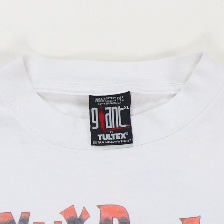 1995 Jimmy Buffett Domino College Summer Session Shirt