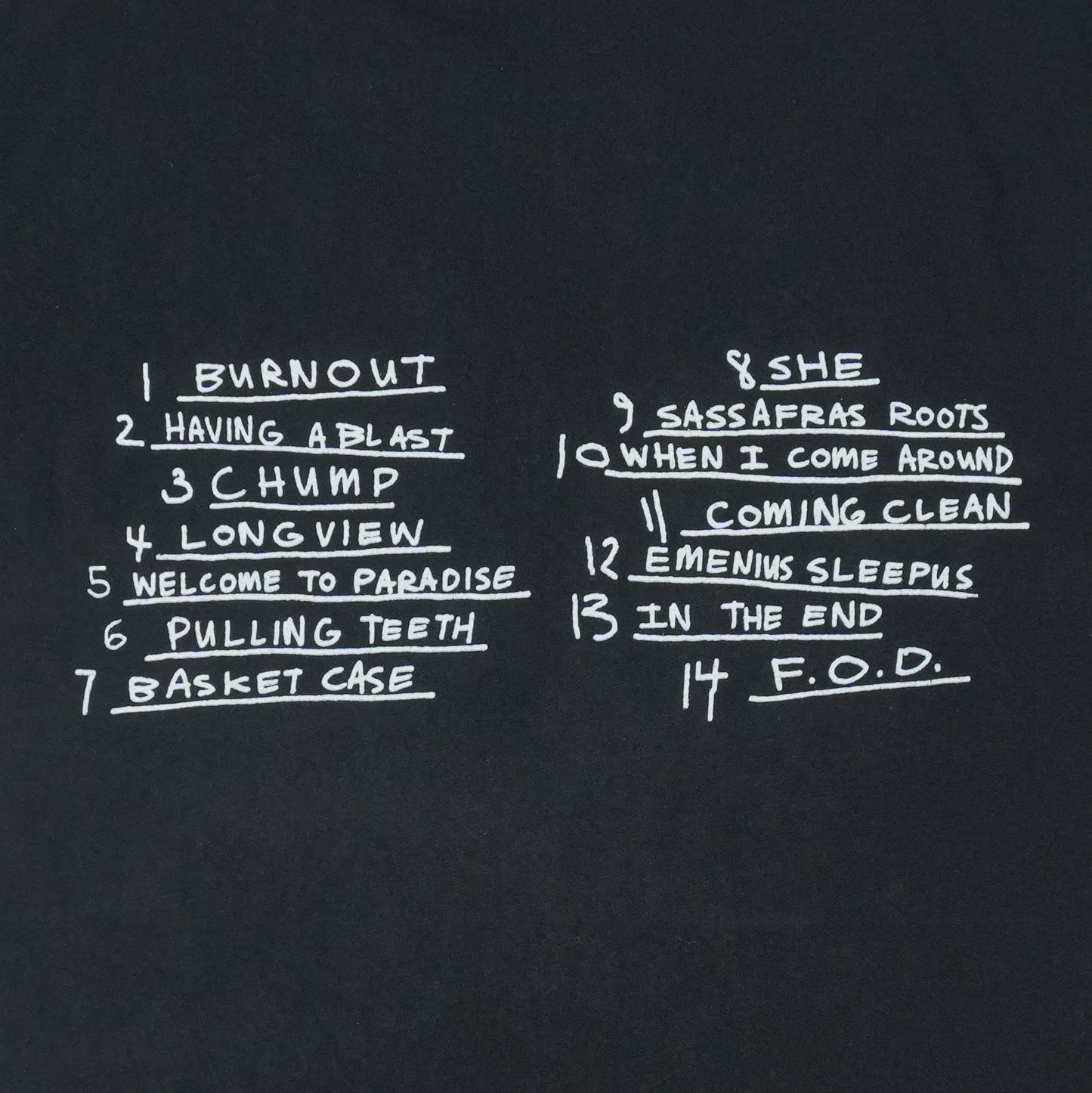 1994 Green Day Dookie Shirt Detail