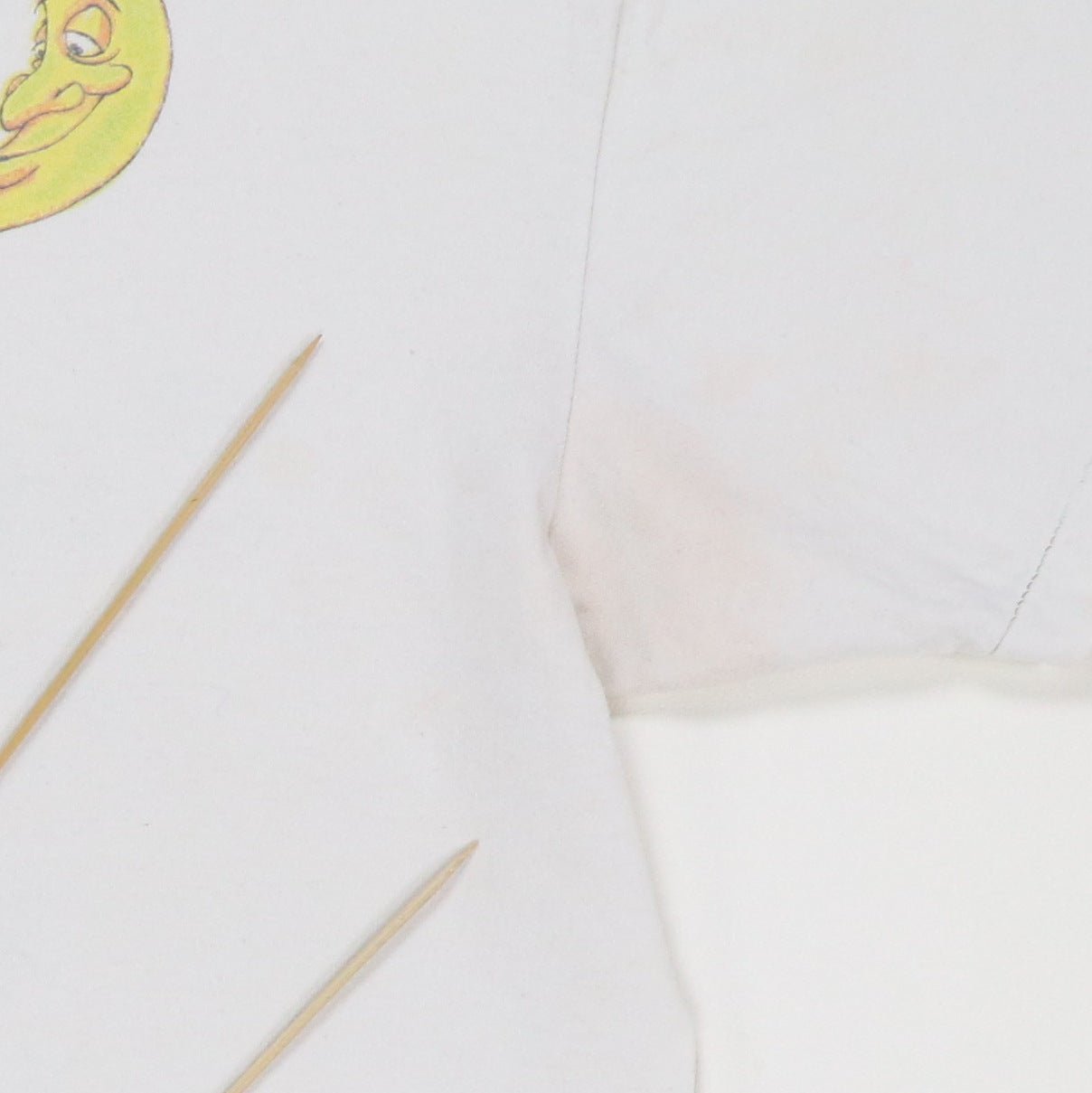 1994 Jimmy Buffet Fruitcakes On Tour Shirt