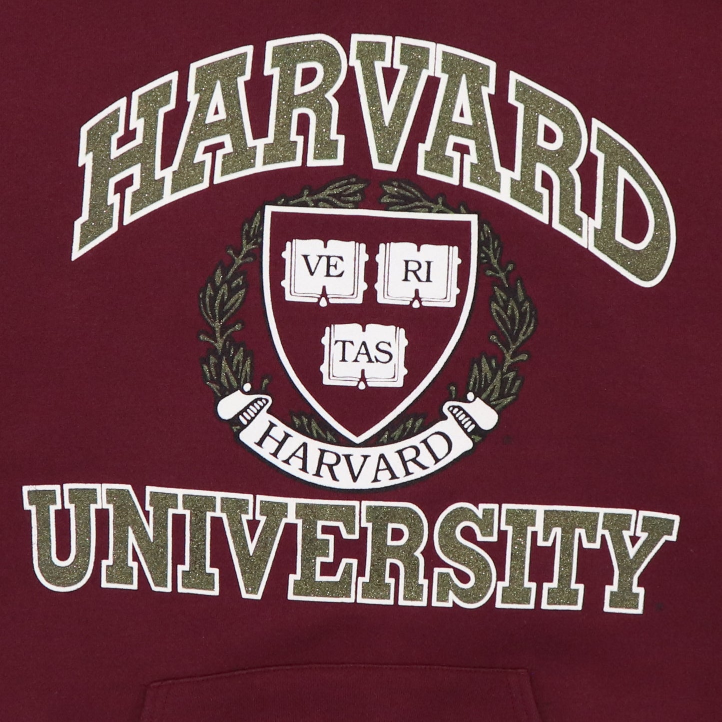 1990s Harvard University Hoodie Detail