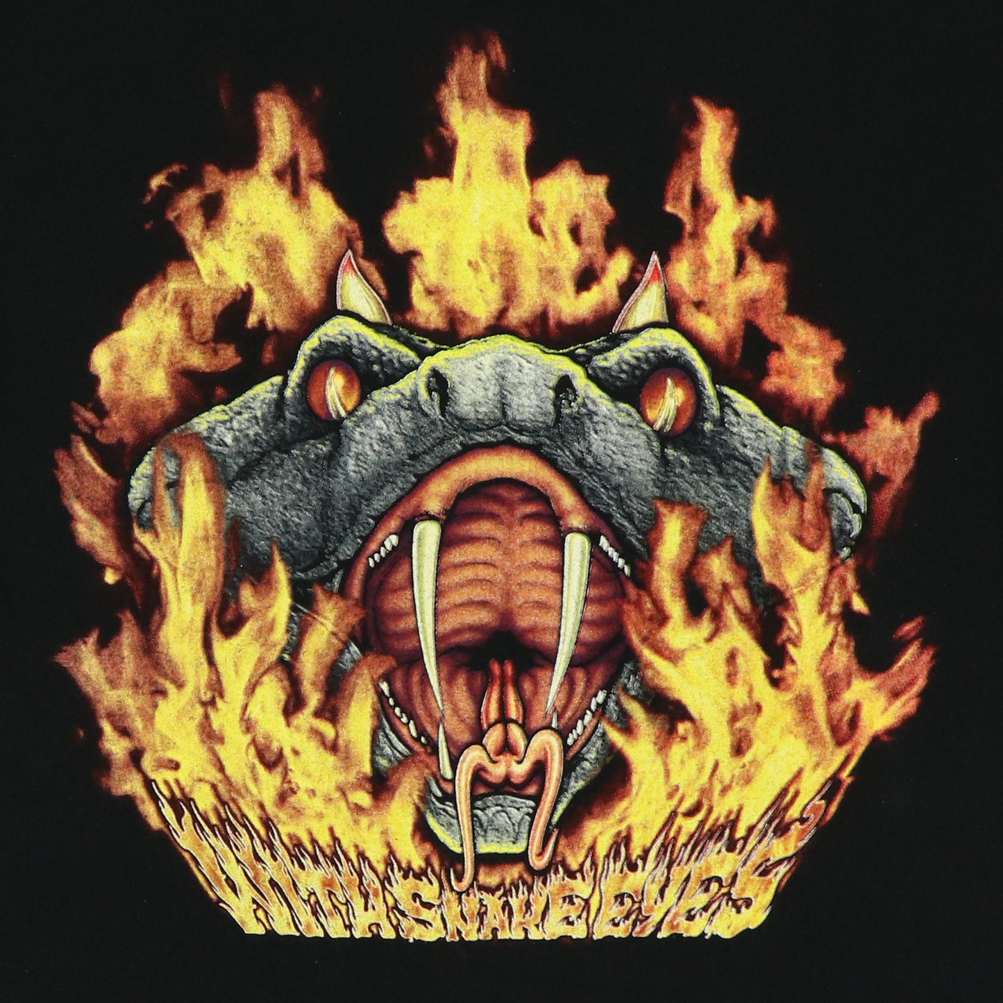 1995 Pantera Far Beyond Driven Shirt