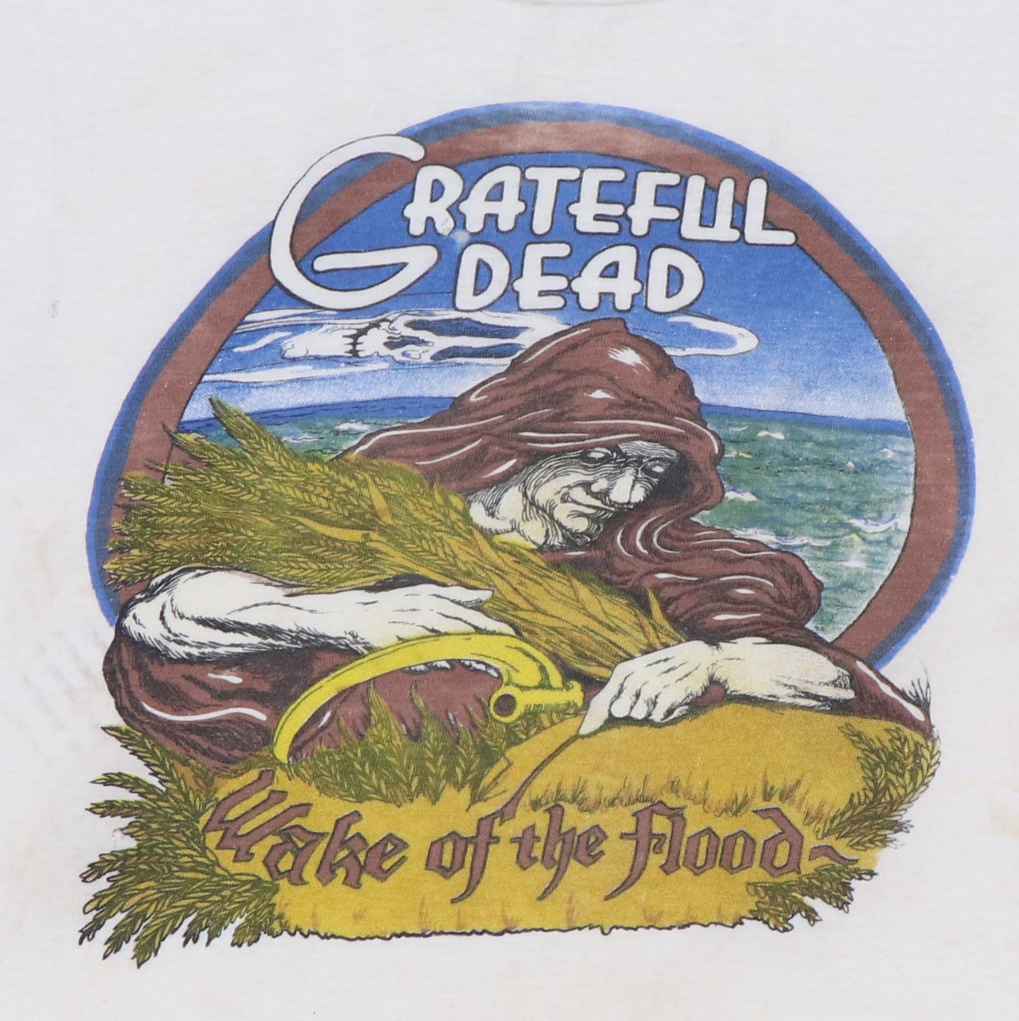 1973 Grateful Dead Wake Of The Flood Shirt