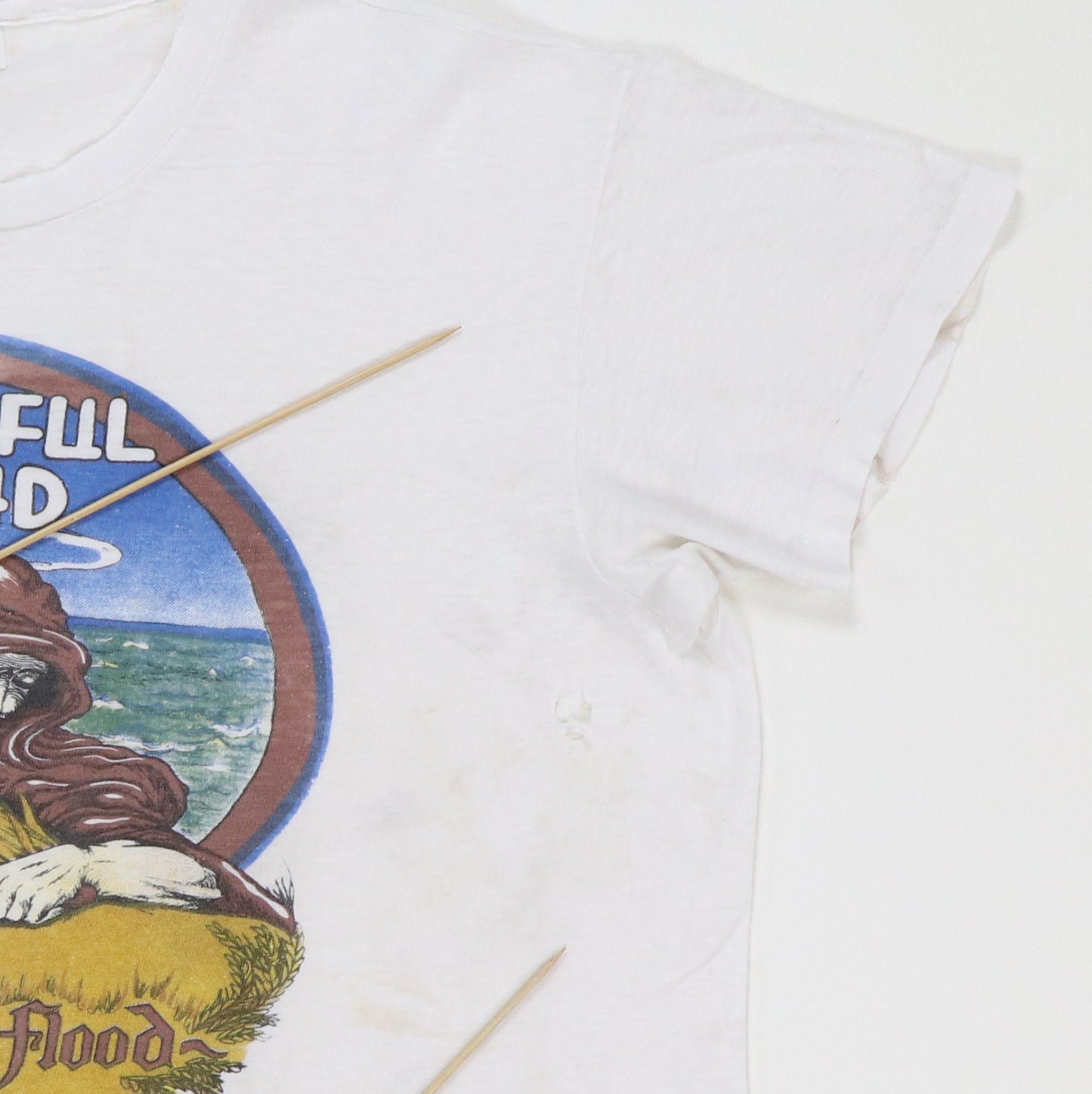 1973 Grateful Dead Wake Of The Flood Shirt