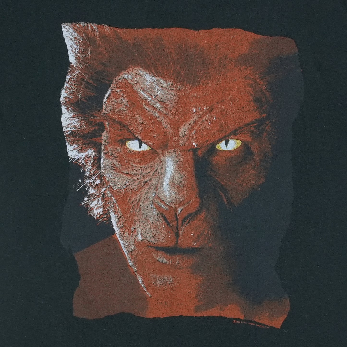 1980s John Fogerty Eye Of The Zombie Shirt Detail