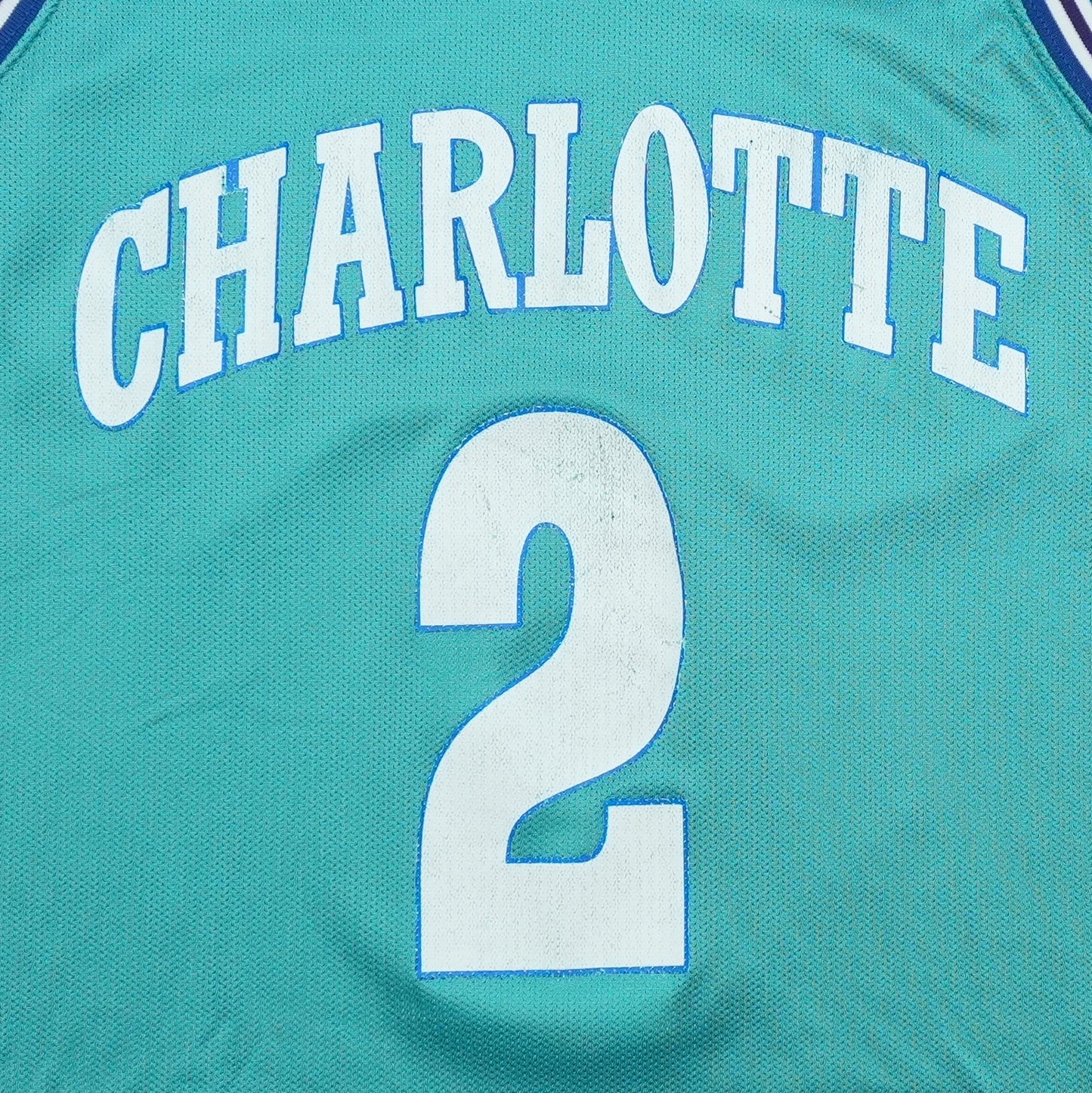 1990s Charlotte Hornets Larry Johnson Champion Jersey Detail 1