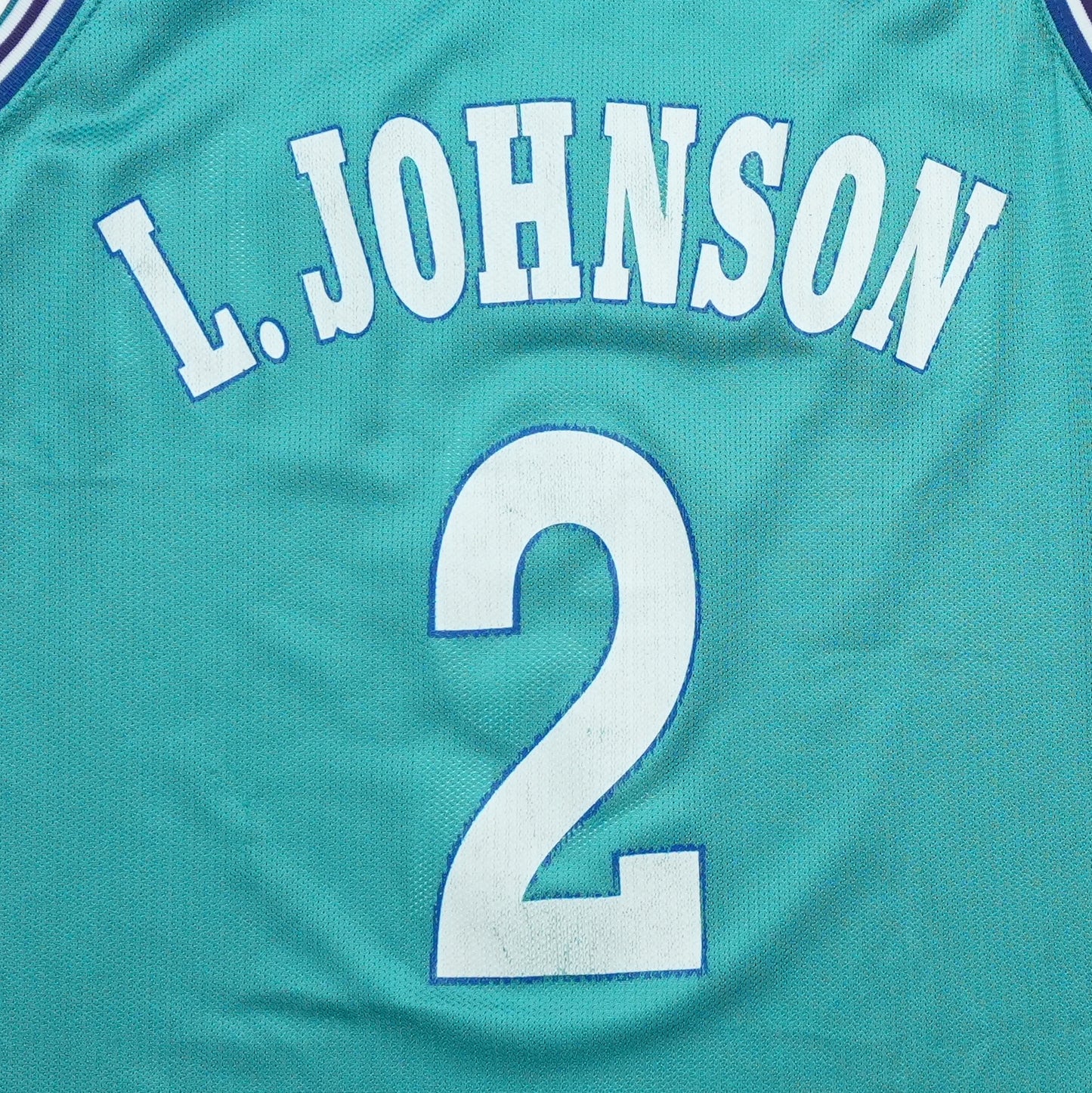 1990s Charlotte Hornets Larry Johnson Champion Jersey Detail 2