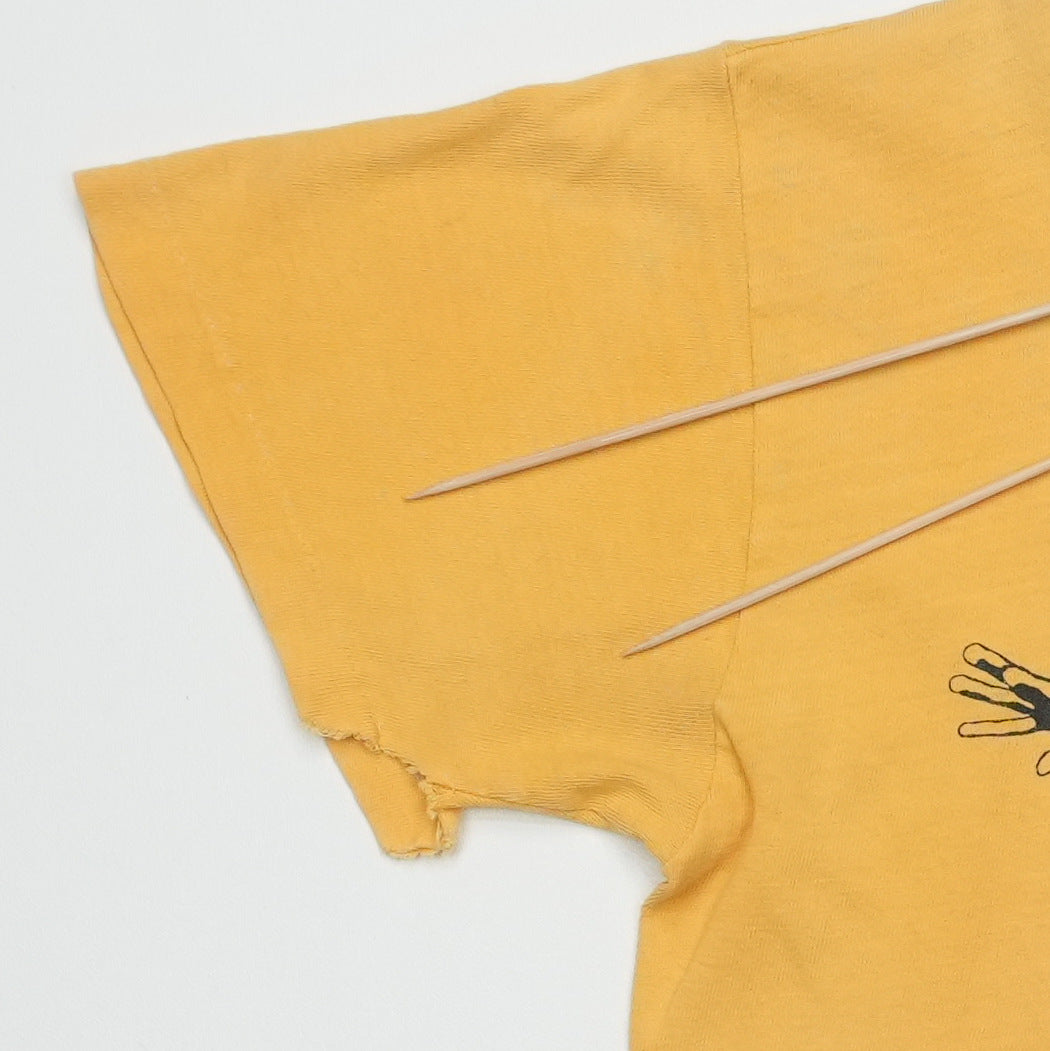 1970s Alicxe Cooper Shirt Detail 5