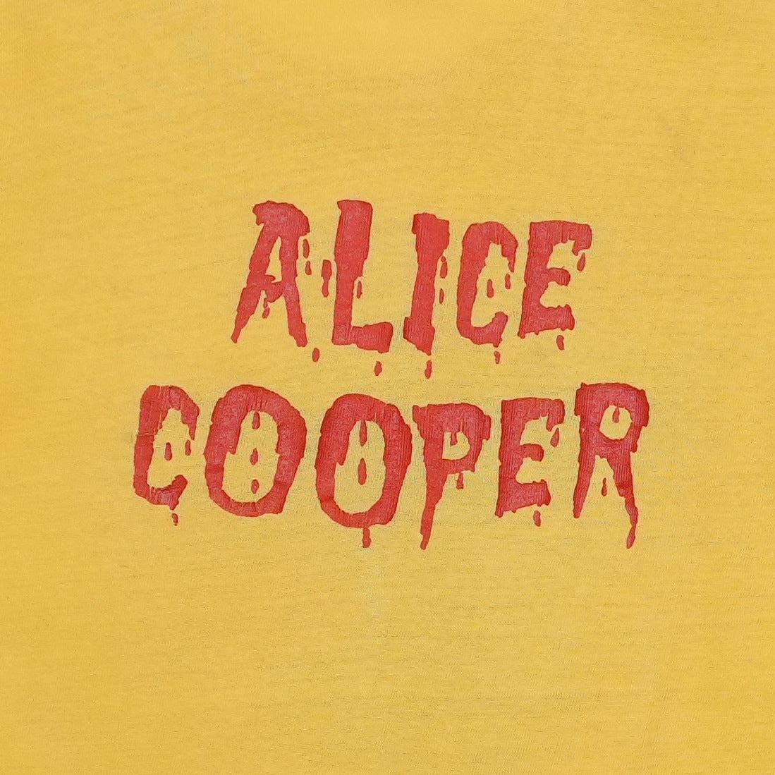 1970s Alicxe Cooper Shirt Detail 6