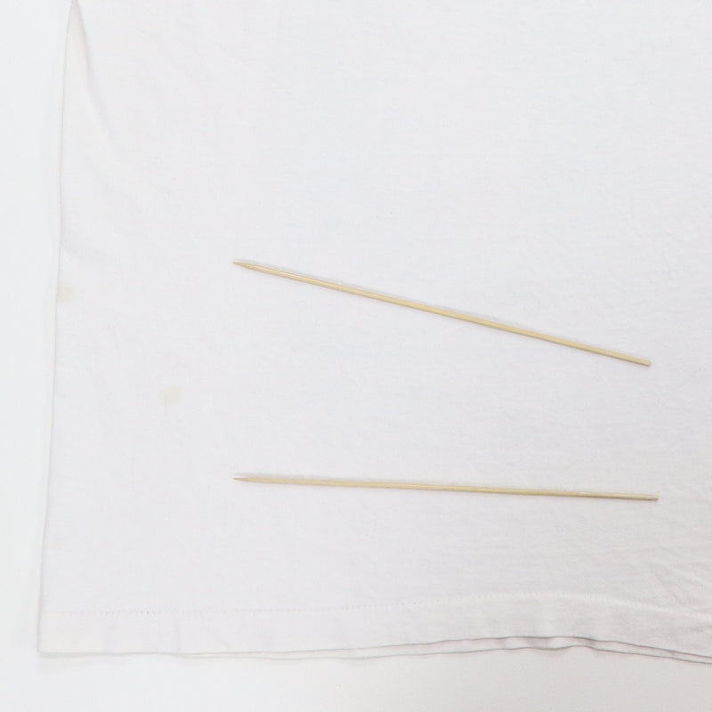 1995 Eagles Hell Cactus Tour Shirt