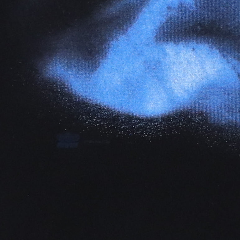 1995 Pantera Far Beyond Driven Tour Shirt