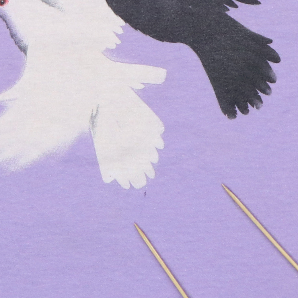 1984 Prince Purple Rain Tour Shirt