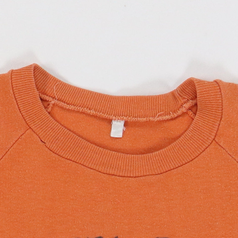 1970s Warner Brothers Music Show Ediwn Shirley Trucking Shirt