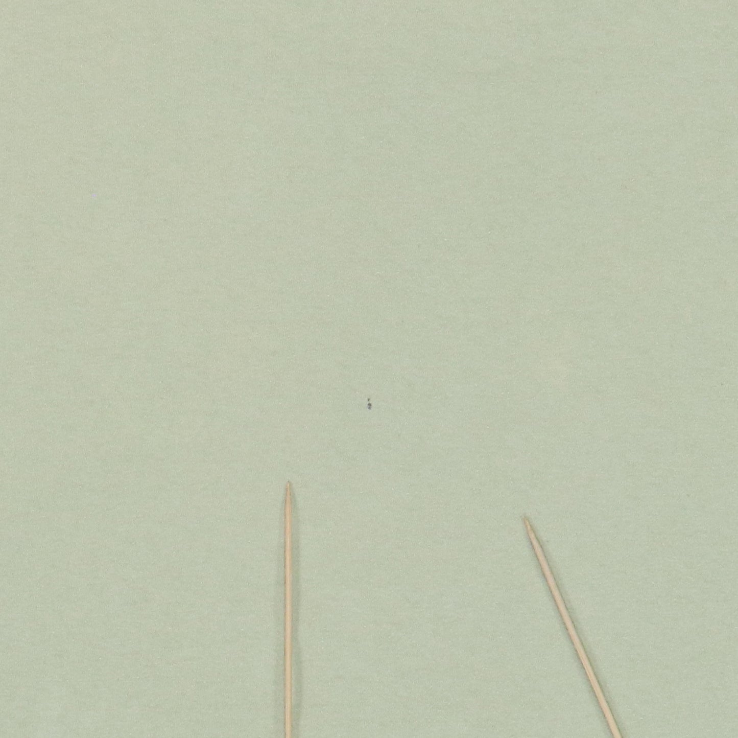 1993 Nirvana Incesticide Shirt