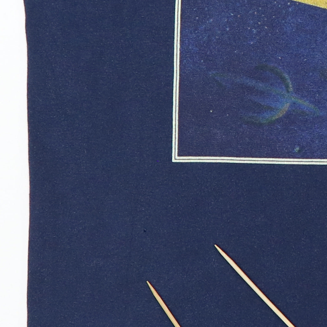 1995 Smashing Pumpkins Mellon Collie Infinite Sadness Tour Shirt