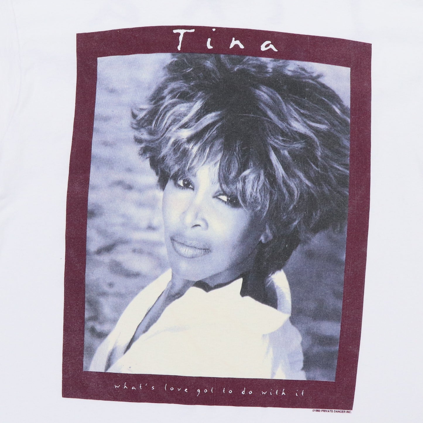 1993 Tina Turner What's Love Tour Shirt
