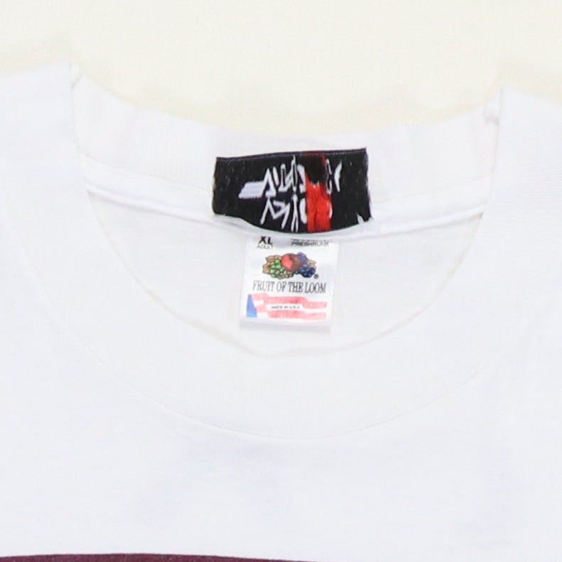 1993 Tina Turner What's Love Tour Shirt