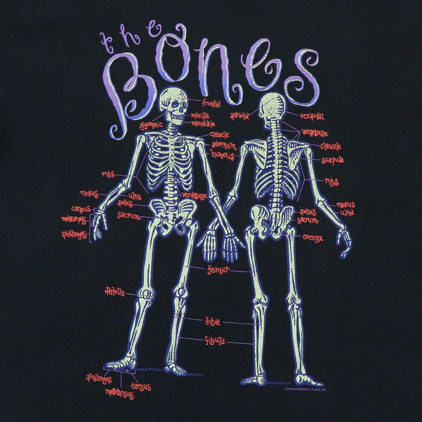 1995 The Bones Skeleton Glow In The Dark Shirt