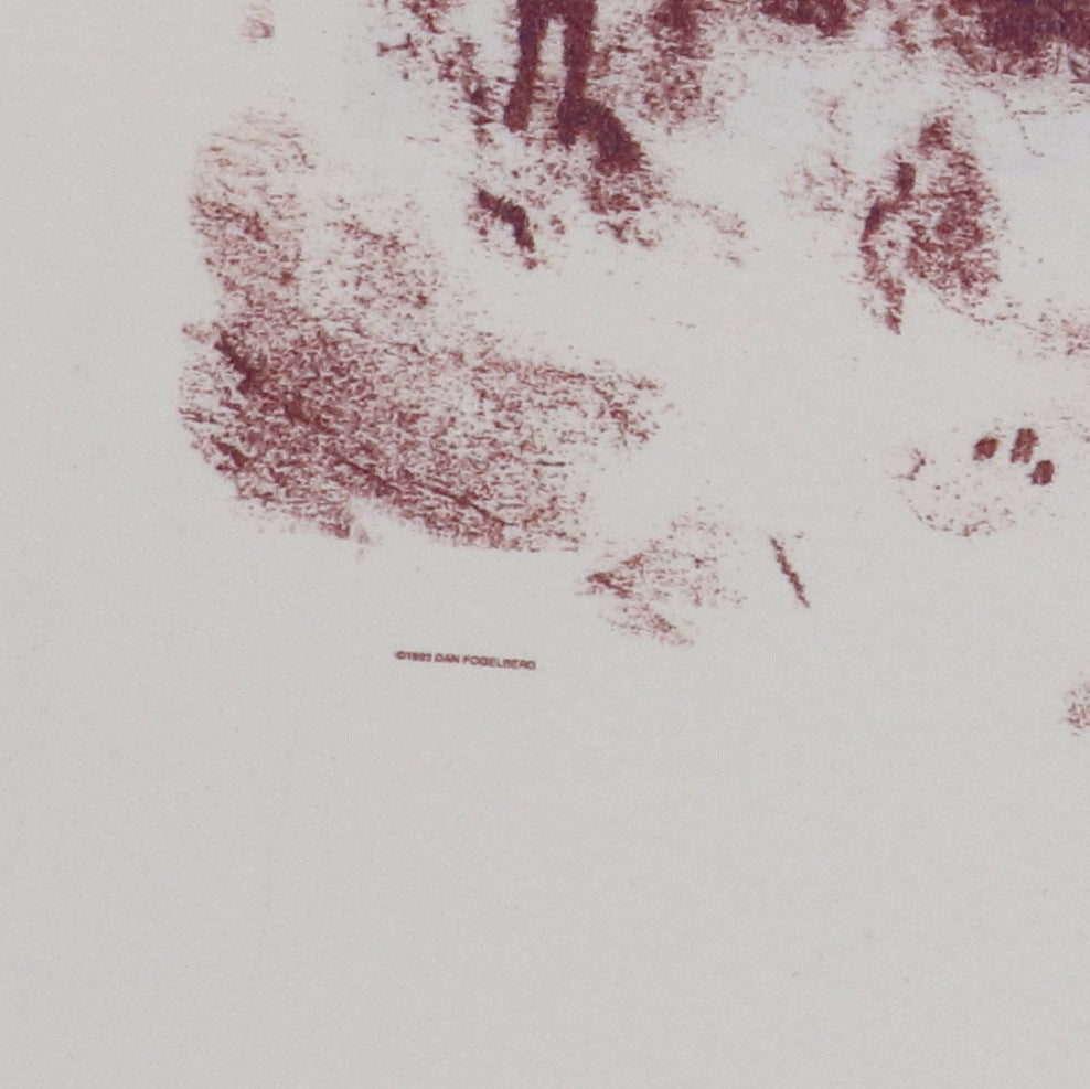 1993 Dan Fogelberg River Of Souls Tour Shirt