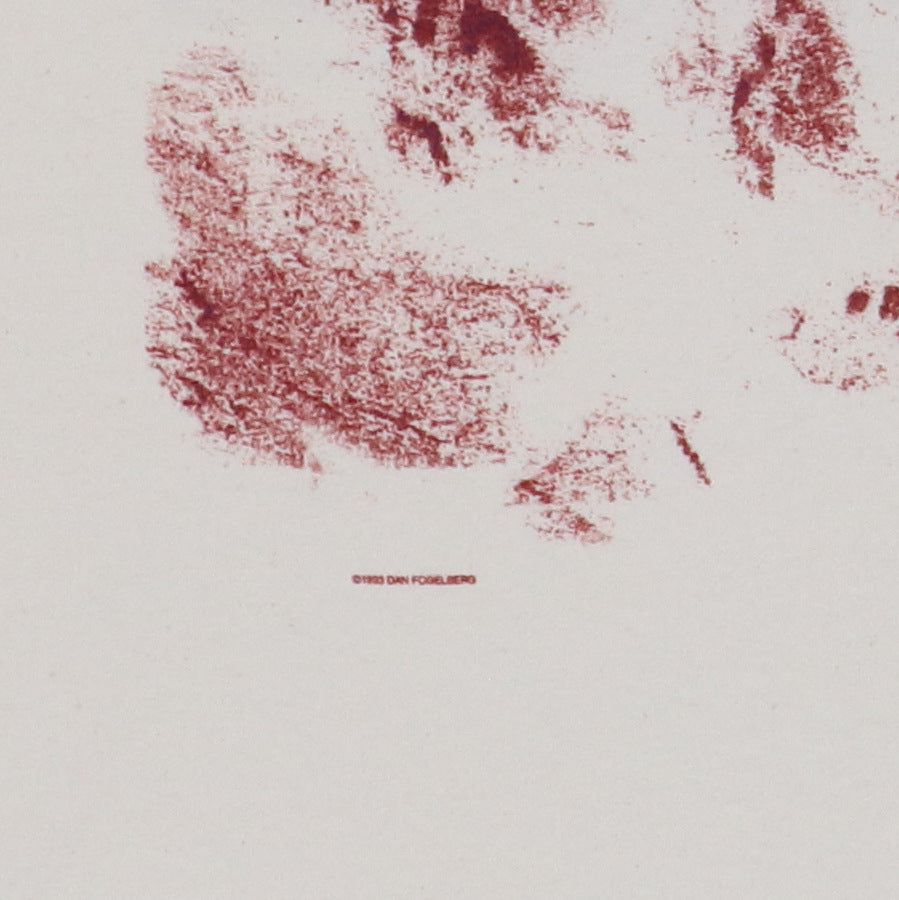 1993 Dan Fogelberg River Of Souls Tour Shirt