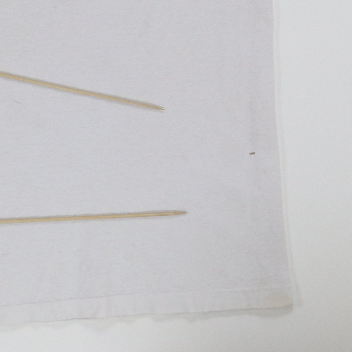 1990s Sub Pop Records Loser Shirt