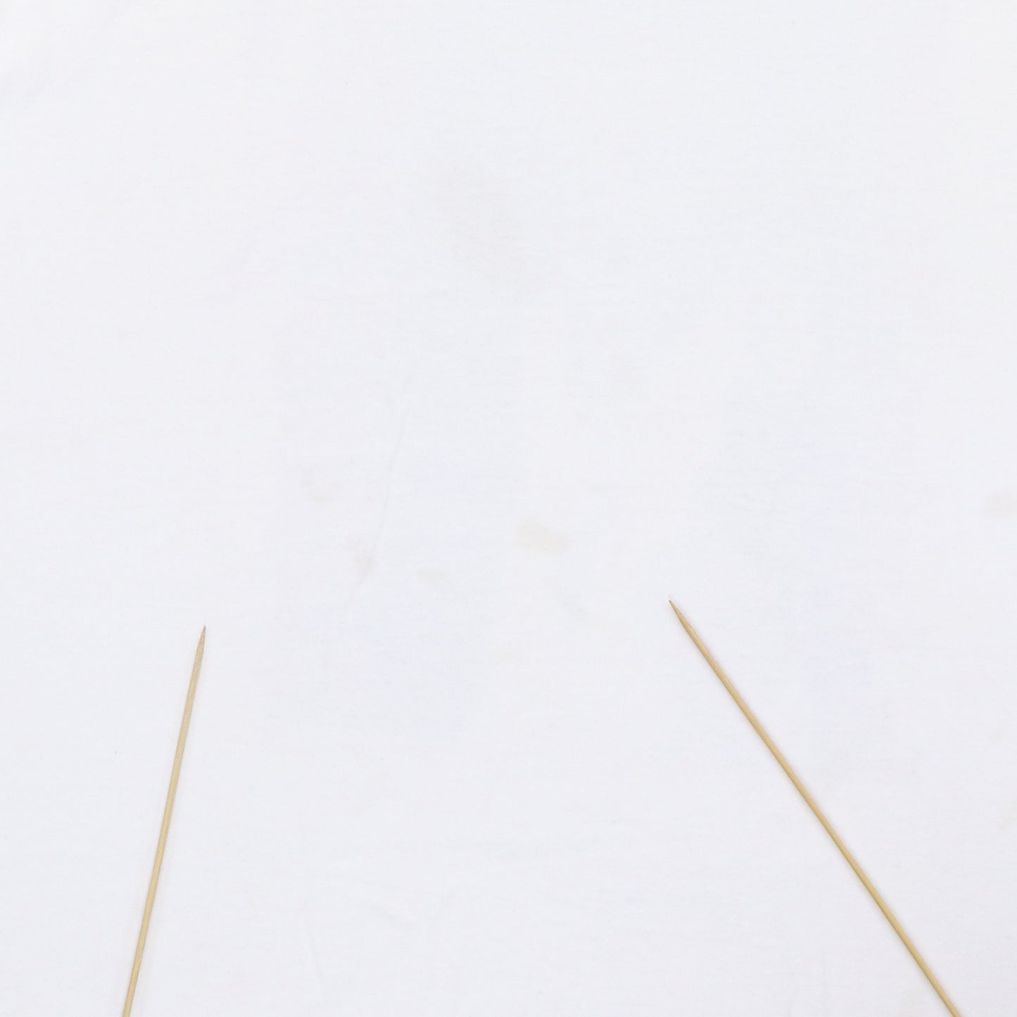 1995 Selena In Loving Memory Of Shirt