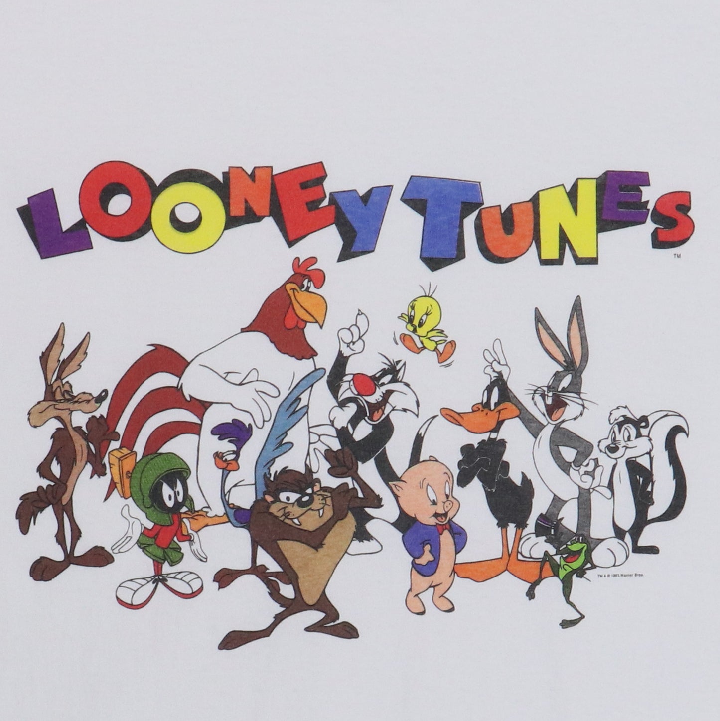 1993 Looney Tunes Warner Brothers Shirt
