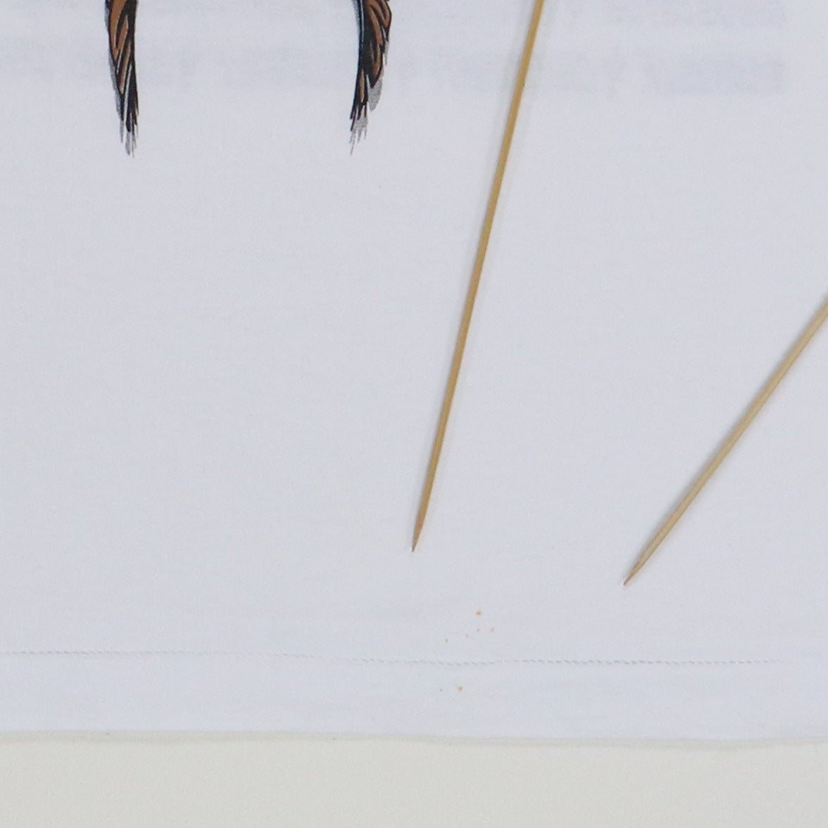 1995 Eagles Hell Freezes Over Shirt