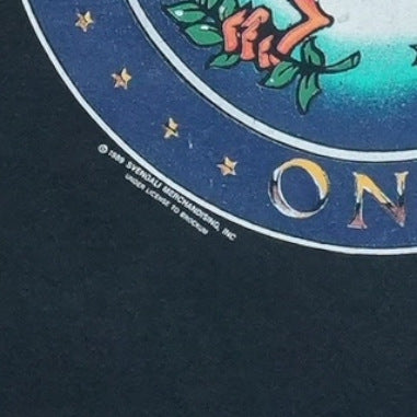 1989 Aerosmith Aero Force One Pump Tour Shirt