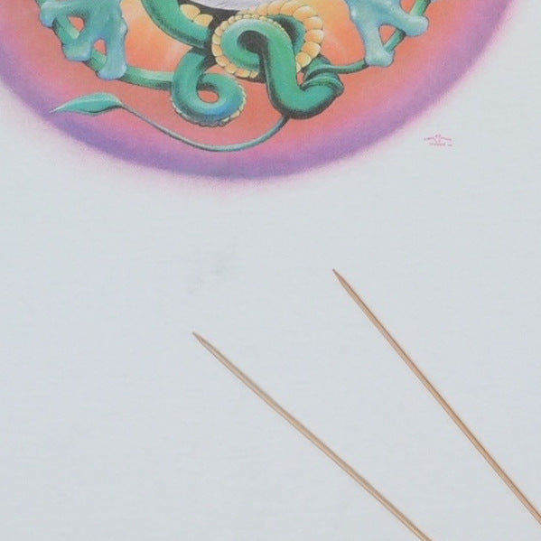 1990s Flying Eye Stanley Mouse Shirt Detail