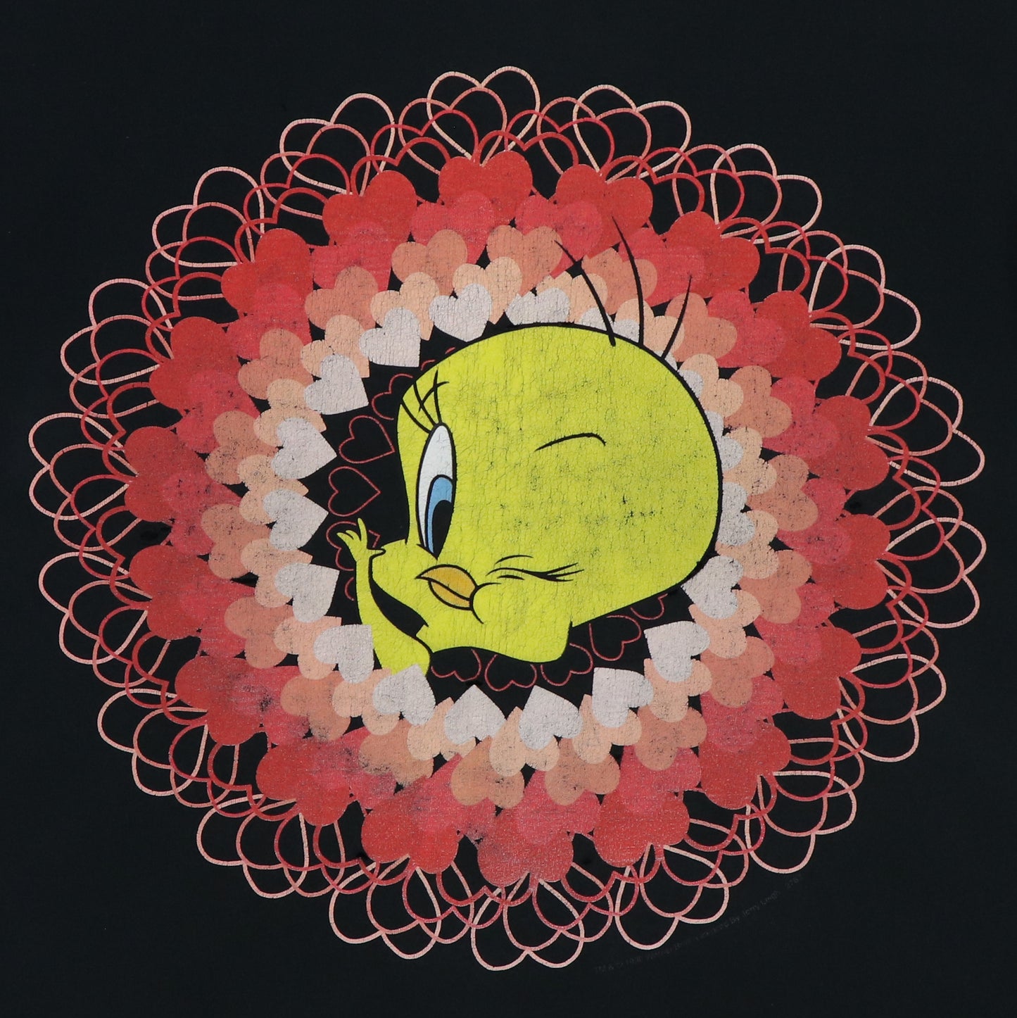 1996 Tweety Bird Warner Brothers Shirt