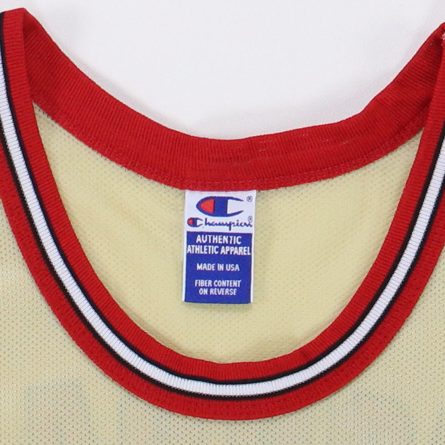 1990s Michael Jordan Chicago Bulls NBA Jersey