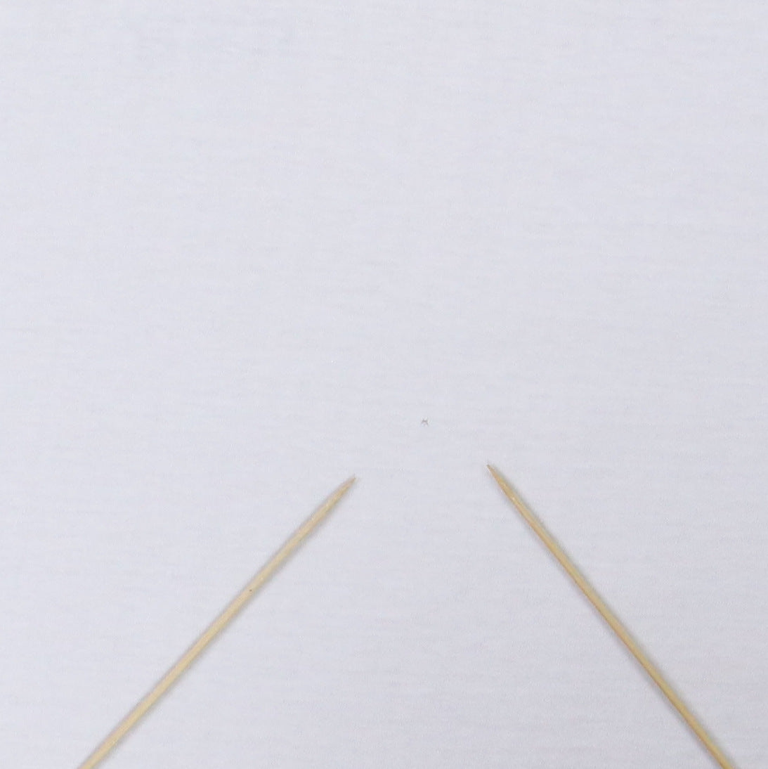 1960s Oregon State University Champion Tag Shirt