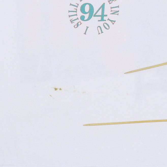 1994 Vince Gill I Still Believe In You Tour Shirt