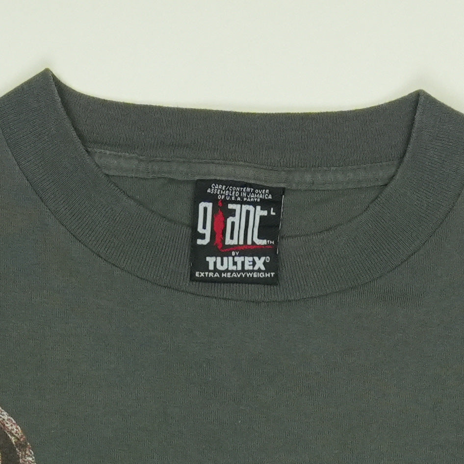 1996 Wallflowers Bringing Down The Horse Shirt