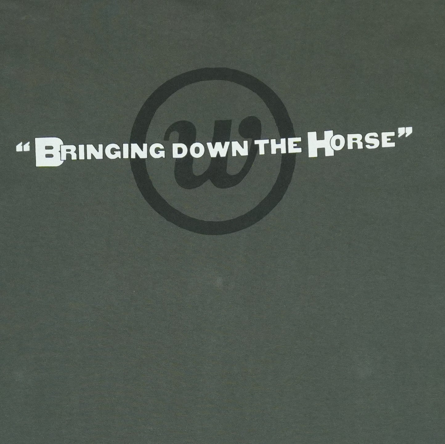 1996 Wallflowers Bringing Down The Horse Shirt