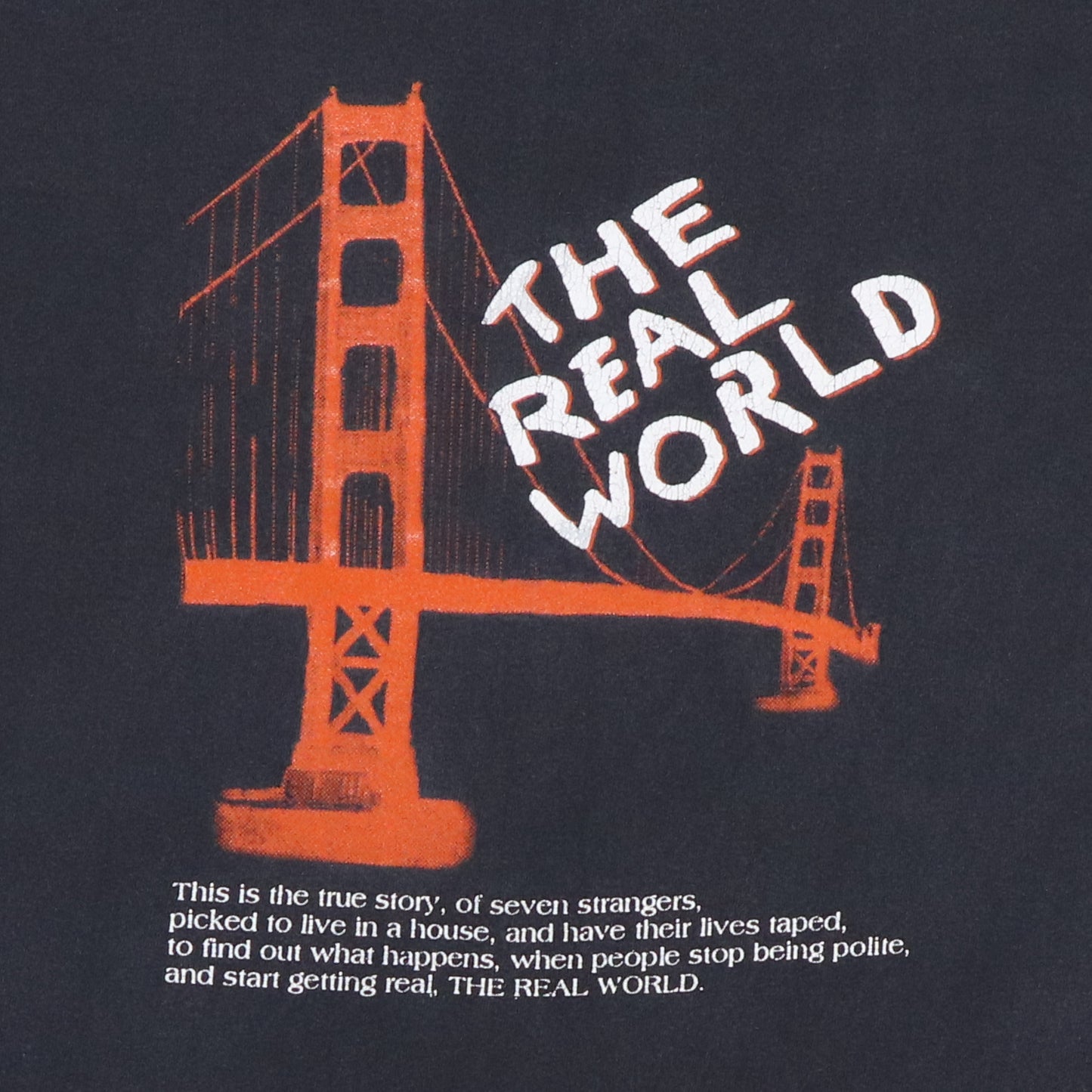 1994 MTV Real World San Francisco Shirt