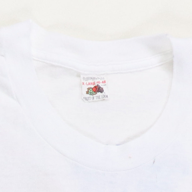 1990 Robert Plant Manic Nirvana World Tour Shirt Detail