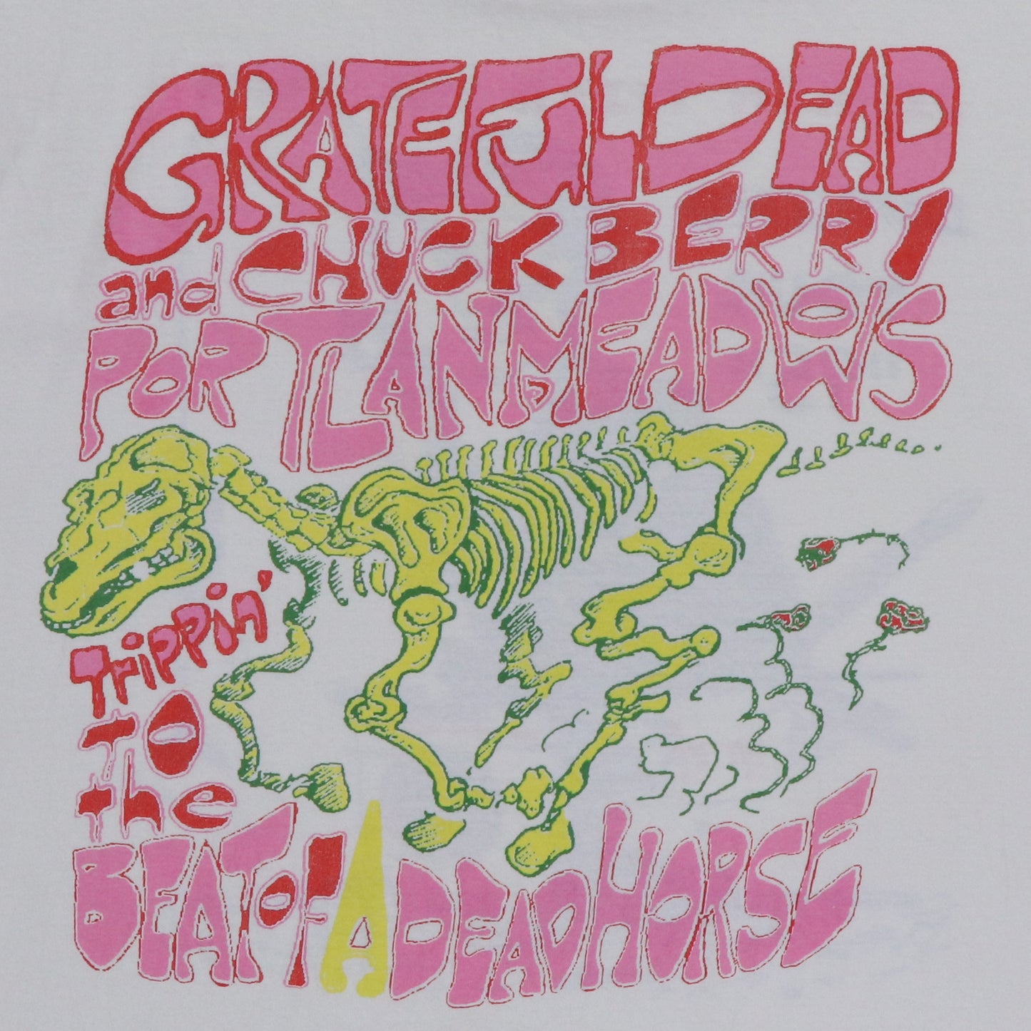 1994 Grateful Dead Chuck Berry Tour Shirt