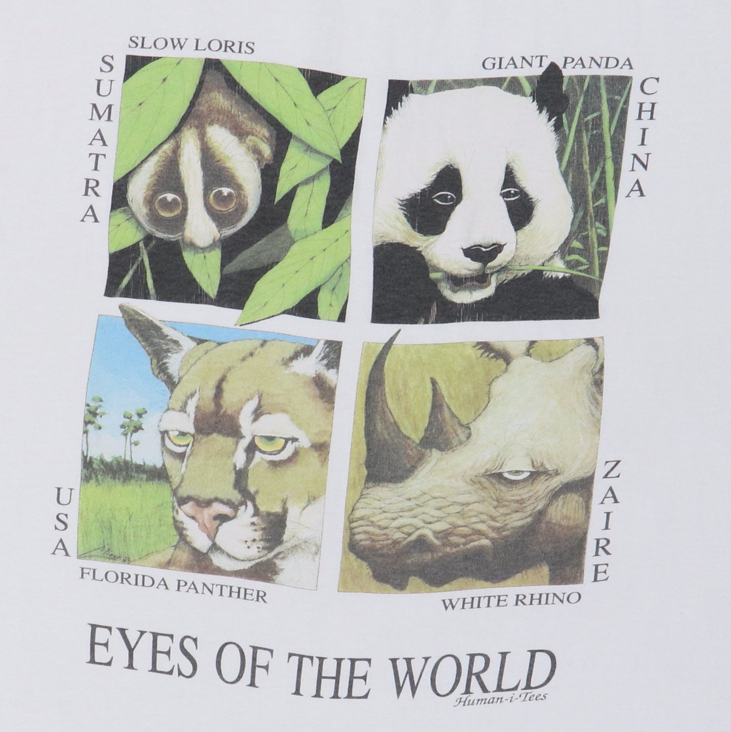1990s Eyes Of The World Human-i-Tees Shirt