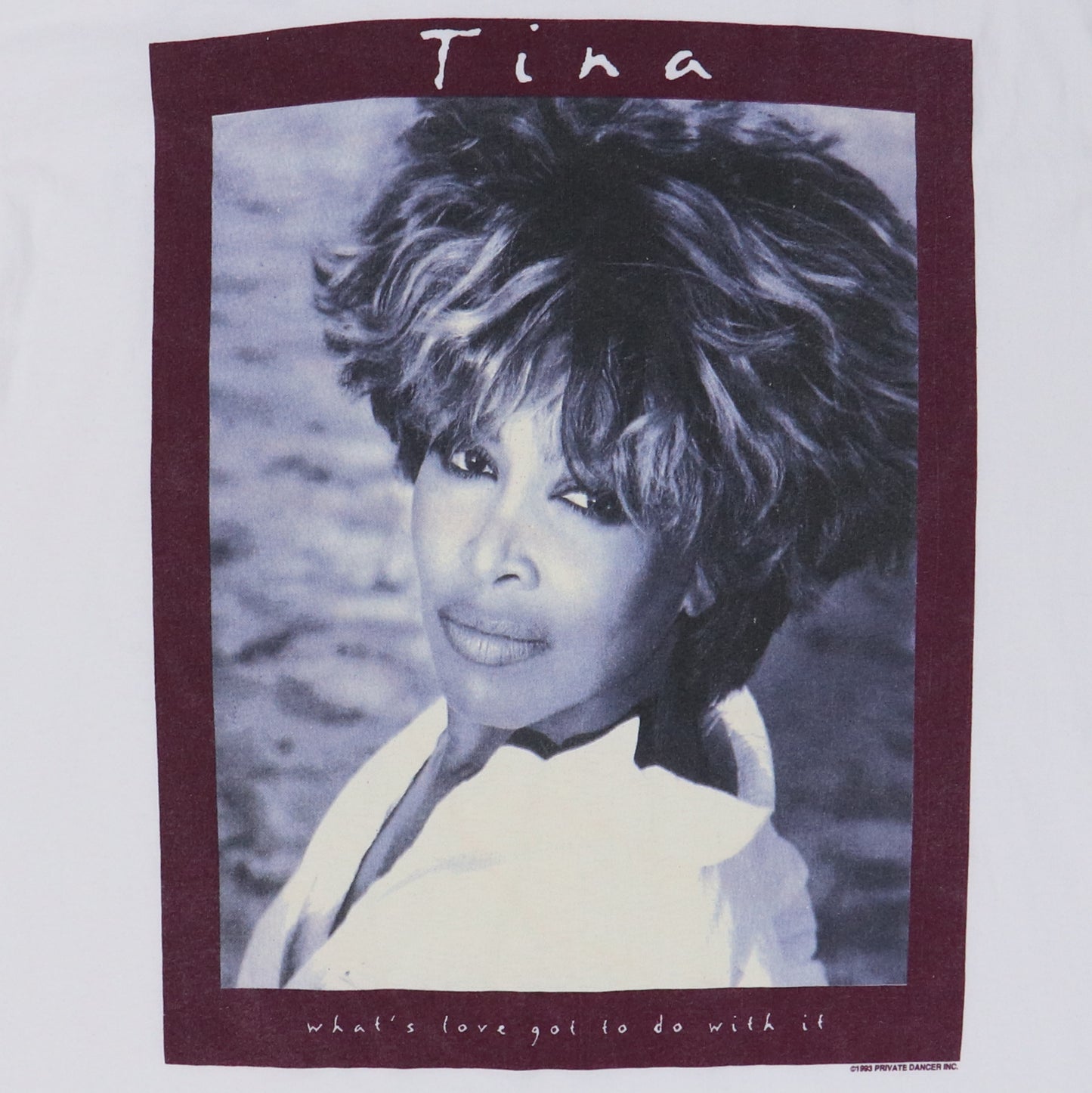 1993 Tina Turner What's Love Tour Shirt