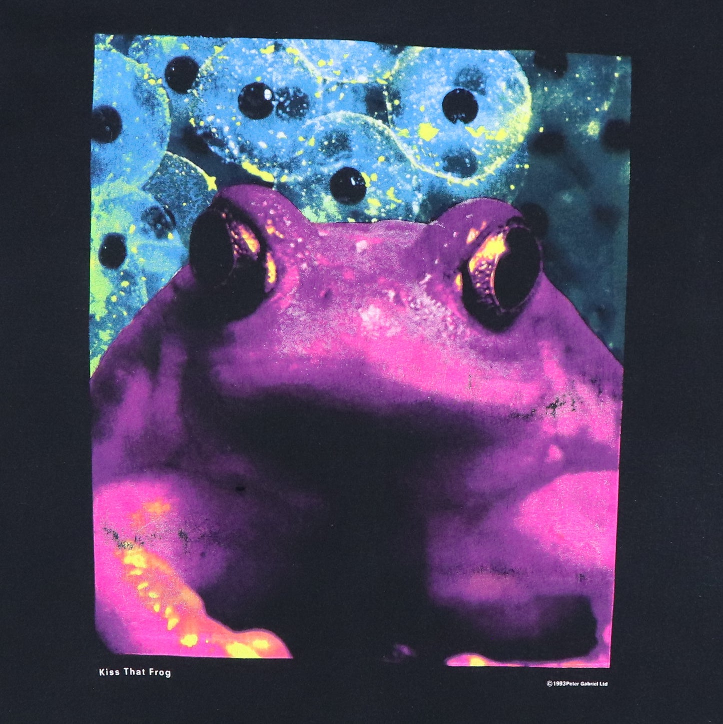 1993 Peter Gabriel Secret World Tour Shirt