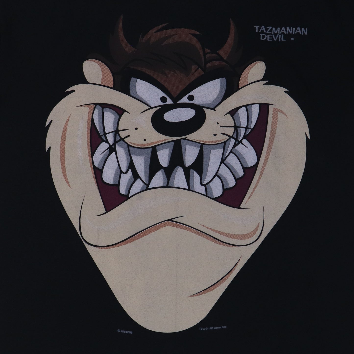 1993 Tazmanian Devil Shirt