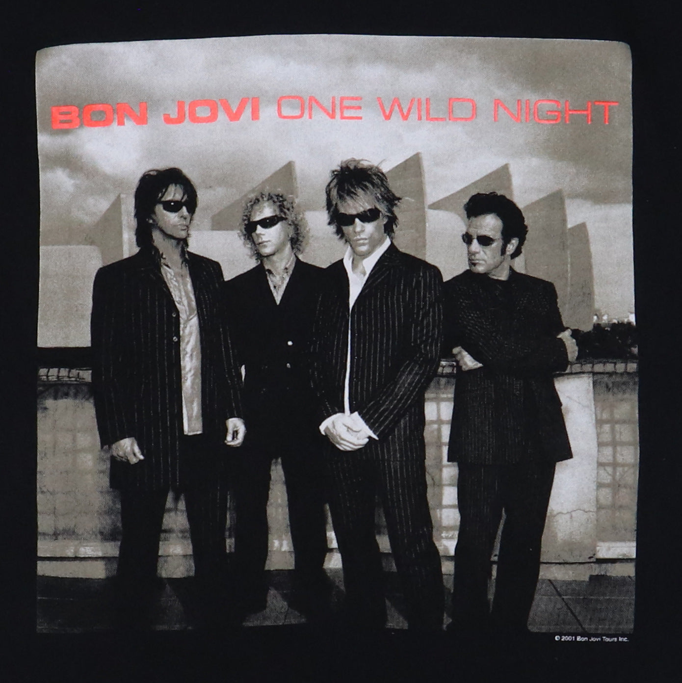 2001 Bon Jovi One Wild Night World Tour Shirt Detail