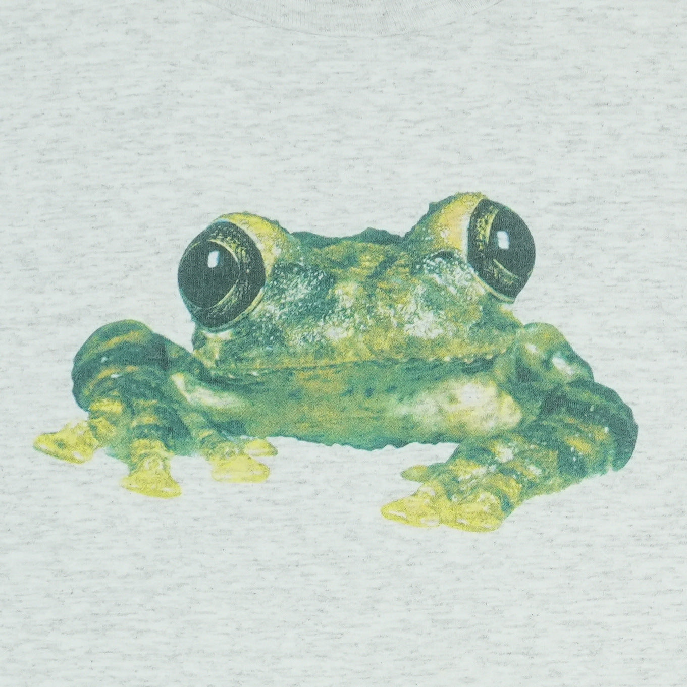 1995 Silverchair Frogstomp Shirt