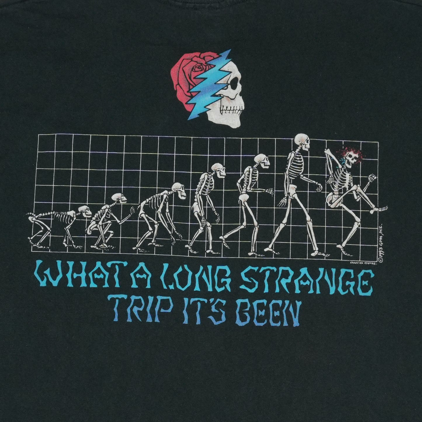 1993 Grateful Dead What A Long Strange Trip Shirt