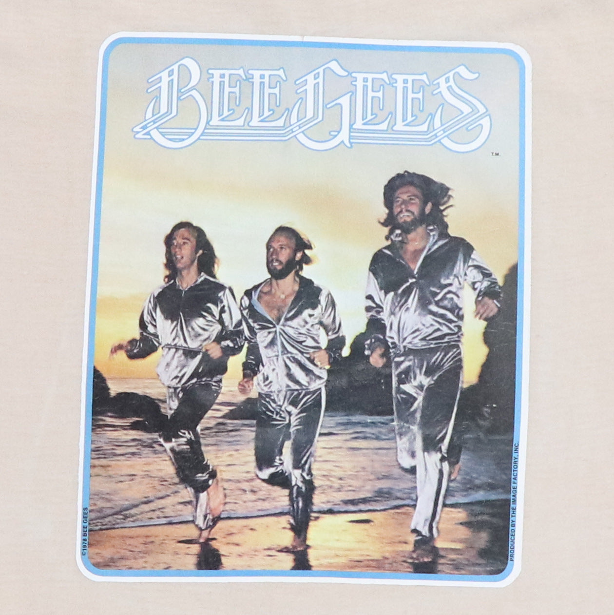 1970s Bee Gees Iron On Graphic Shirt