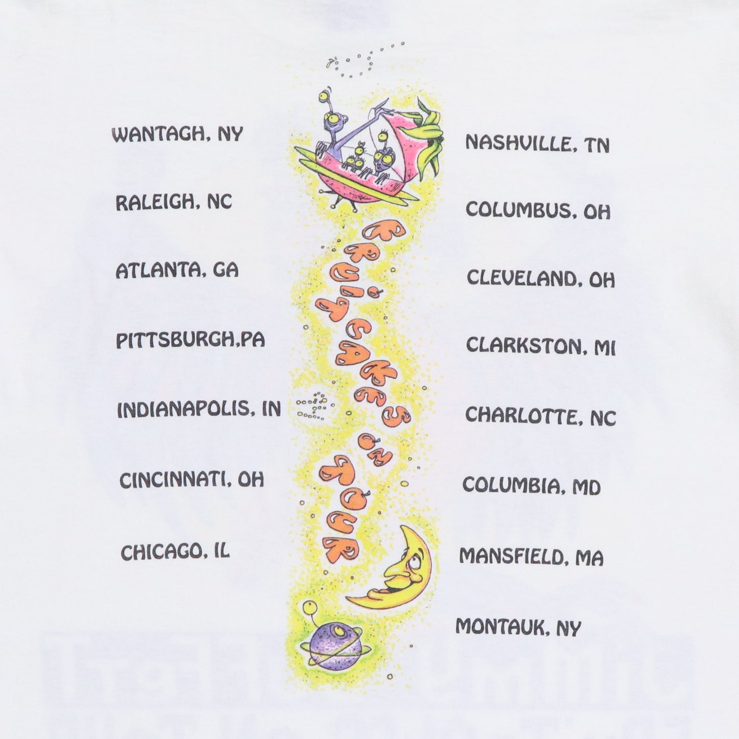 1994 Jimmy Buffett Fruitcakes On Tour Shirt