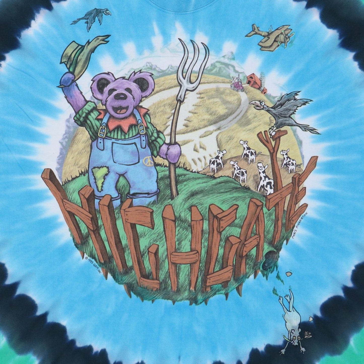 1995 Grateful Dead Highgate Tie Dye Shirt